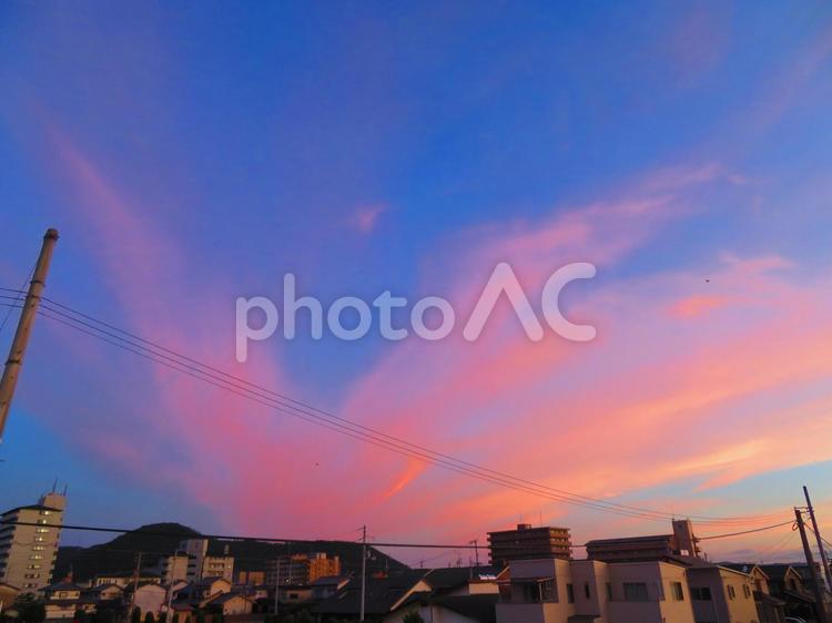 ７月下旬の野田池の朝焼け 背景,朝焼け,たそがれの写真素材