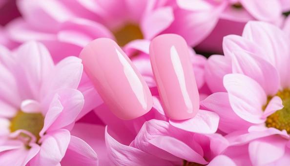 ピンクの花の上に置かれたネイルチップ ピンクの花の上に置かれたネイルチップの写真
