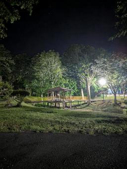 公園 公園 公園,夜,夜の公園の写真素材