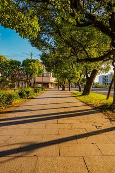 【佐賀】佐賀県立図書館の周辺の写真