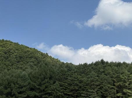 山と青空 自然,風景,木の写真素材