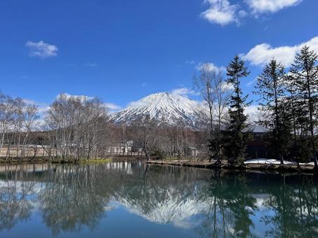 池に写る羊蹄山 池に写る羊蹄山 リフレクション,水鏡,羊蹄山の写真素材