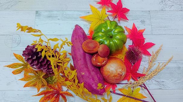 秋 イメージ 秋 イメージ 秋,10月,11月の写真素材
