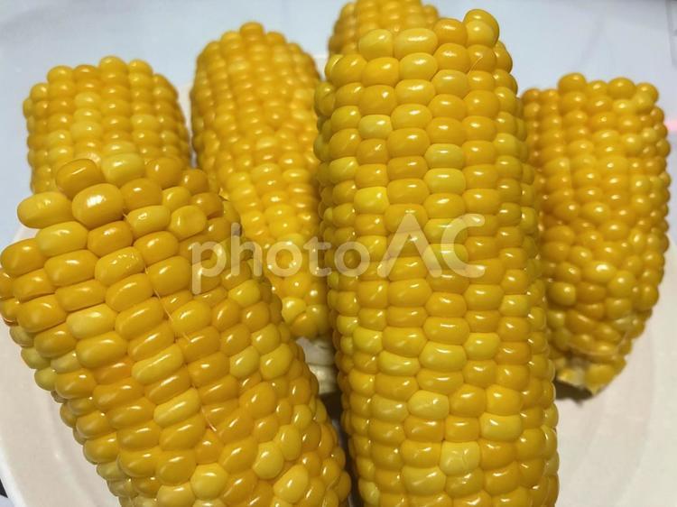 とうもろこし蒸しあがり とうもろこし,黄色,野菜の写真素材