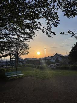 夕日のこうぼうふじみ公園 夕日のこうぼうふじみ公園の写真