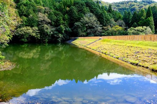 兵庫県立ゆめさきの森公園 兵庫県立ゆめさきの森公園の写真