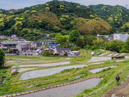 【神奈川県】葉山町上山口の棚田 【神奈川県】葉山町上山口の棚田 葉山町,上山口,神奈川県の写真素材