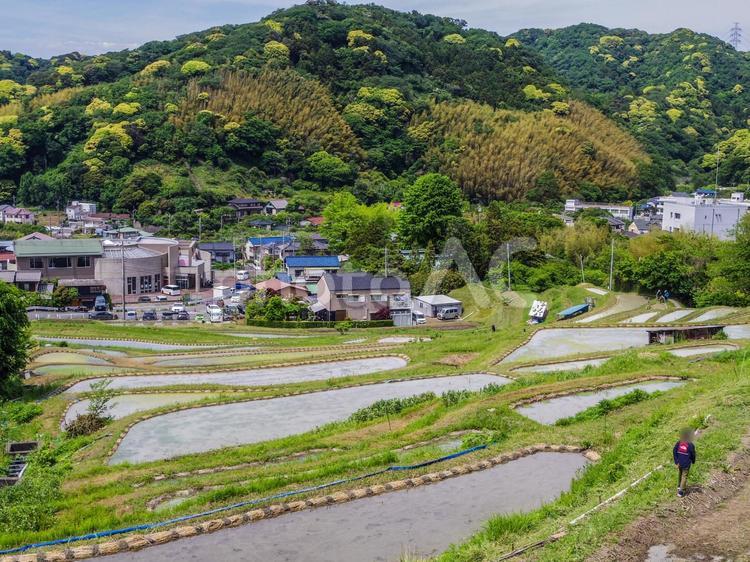 【神奈川県】葉山町上山口の棚田 葉山町,上山口,神奈川県の写真素材