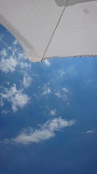夏 夏の写真