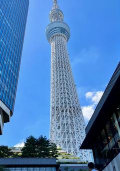 スカイツリーの下から。 スカイツリーの下から。の写真