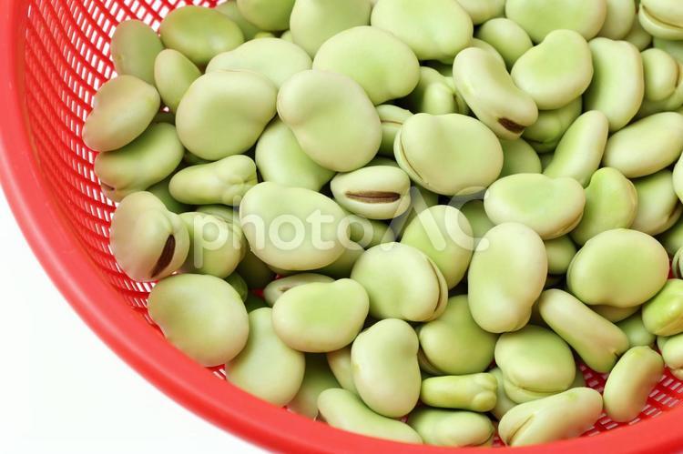 そら豆 フード,そら豆,野菜の写真素材