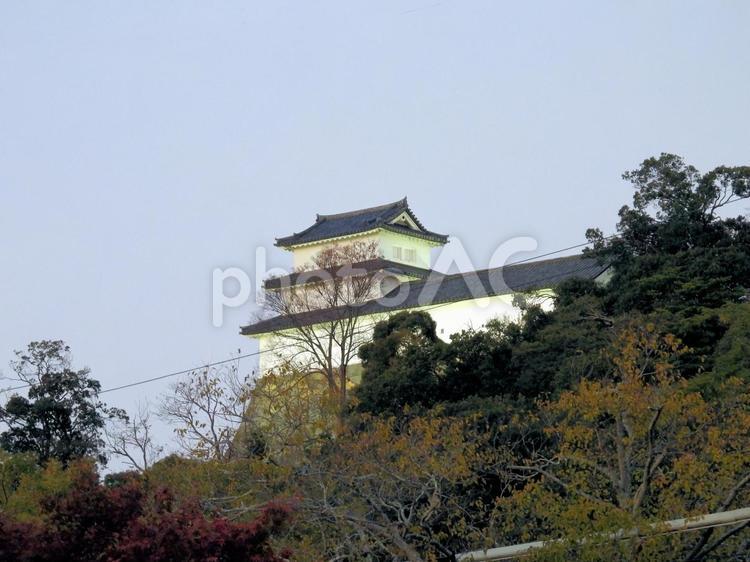 夕暮れの彦根城 彦根城,滋賀県,マジックアワーの写真素材