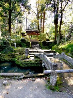 北鎌倉・浄智寺の山門前にある石橋と池 北鎌倉・浄智寺の山門前にある石橋と池 石橋,池,渡るの写真素材
