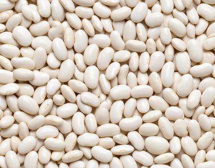 乾燥白インゲン豆の写真