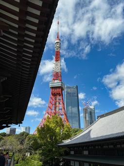 増上寺から望む東京タワー 空,寺院,東京タワーの写真素材