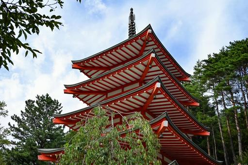 山梨・新倉富士浅間神社 山梨・新倉富士浅間神社 新倉富士浅間神社,五重塔,山梨の写真素材