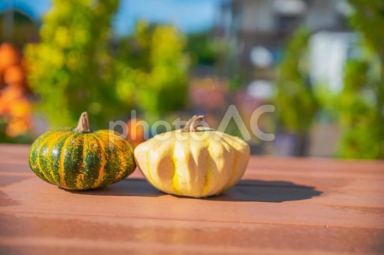 ニセコのハロウィンの風景 ハロウィン,かぼちゃ,お祭りの写真素材