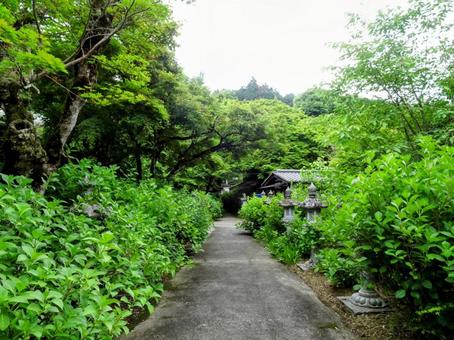 丹州観音寺 丹州観音寺の写真