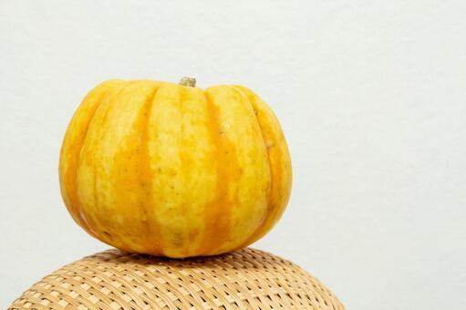 カボチャ パンプキン,南瓜,カボチャ属の写真素材