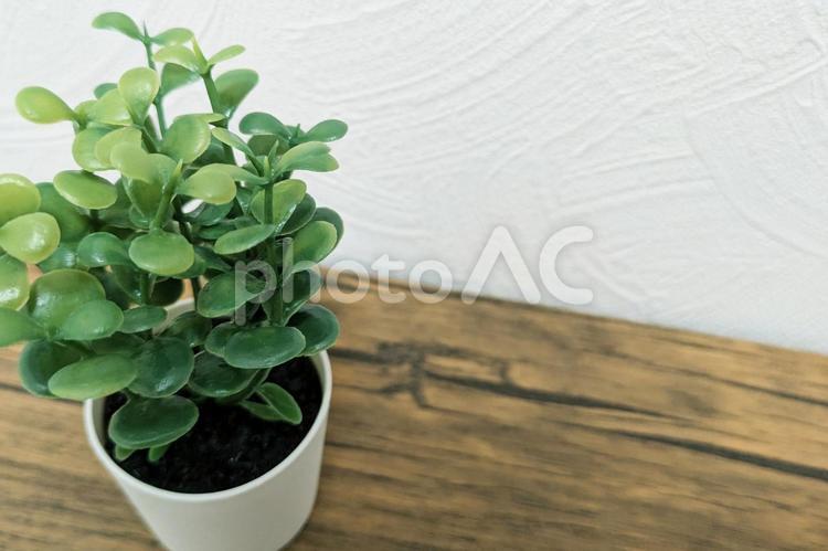 木のテーブルに置かれた植物(造花)_02 植物,観葉植物,グリーンの写真素材