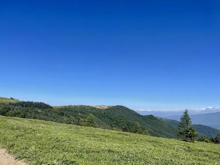 美ヶ原高原の夏、青空と緑の絶景 美ヶ原高原の夏、青空と緑の絶景 美ヶ原高原,夏,絶景の写真素材