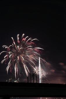 都会の夜空を飾る花火 花火,夜景,夜空の写真素材