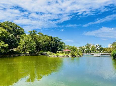 池 池の写真