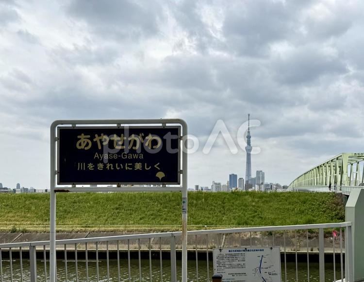 曇り空　春の綾瀬川の河川敷 綾瀬川,春,河川敷の写真素材