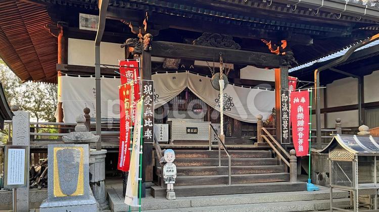 四国八十八ヶ所 53番 圓明寺 本堂 圓明寺,本堂,夕方の写真素材