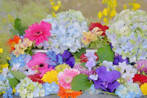 花手水 花手水の写真