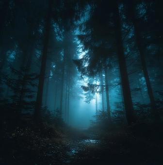 青い霧に包まれた夜の森の道 青い霧に包まれた夜の森の道の写真