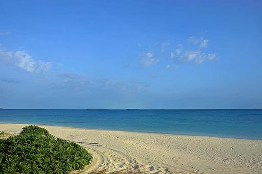 ニューカレドニア433 ウヴェア島 朝景 ニューカレドニア433 ウヴェア島 朝景の写真