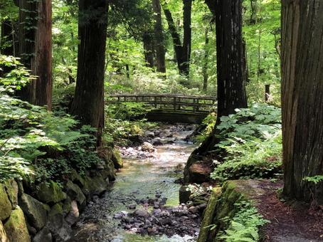 山の清流 山の清流 清流,小川,橋の写真素材