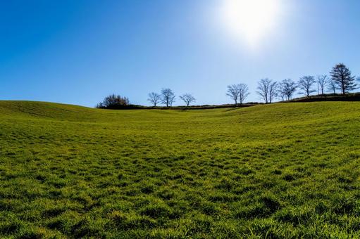 標茶の丘、日差しの眩しい青い空 丘,青空,陽射しの写真素材