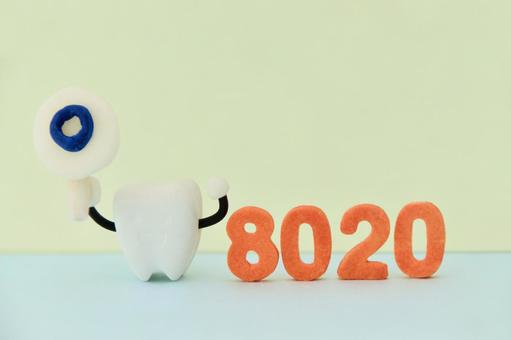 8020と丸印を持ったミニチュアの歯 8020と丸印を持ったミニチュアの歯 8020運動,歯の健康,口の健康の写真素材