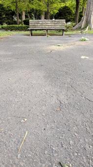 公園ベンチ前の空間② 公園ベンチ前の空間②の写真