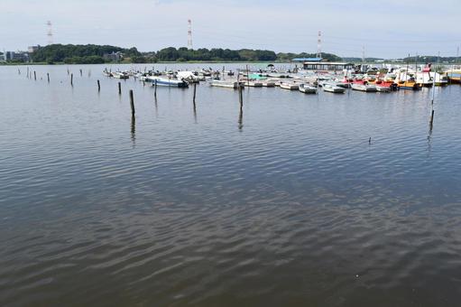 手賀沼 利根川水系 手賀沼,利根川水系,利根川水系の湖沼の写真素材