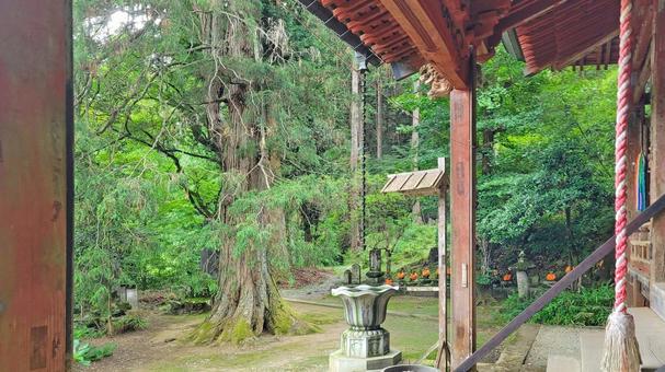 Photo, fayun temple, mount zuiryu, kannondo, 