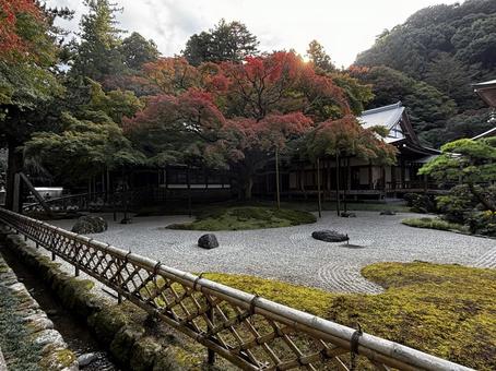 庭園 庭園,自然,ナチュラルの写真素材