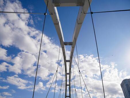 橋のアーチとケーブル 橋,ケーブル橋,アーチの写真素材
