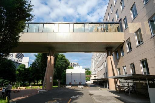 埼玉県庁の風景 埼玉県庁,埼玉県庁舎,県庁の写真素材