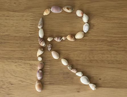 貝殻　アルファベット　R 貝殻,アルファベット,rの写真素材