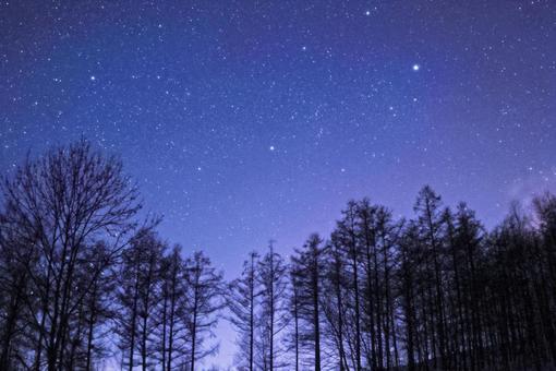 Furano starry sky, JPG Furano starry sky, hokkaido, furano, wood, JPG