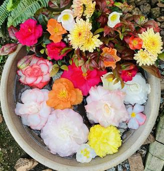 切り花 花束 壺 切り花 花束 壺 バラ,薔薇,花の写真素材
