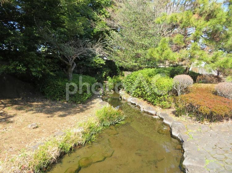 忍城敷地内の風景 忍城,城跡,池の写真素材