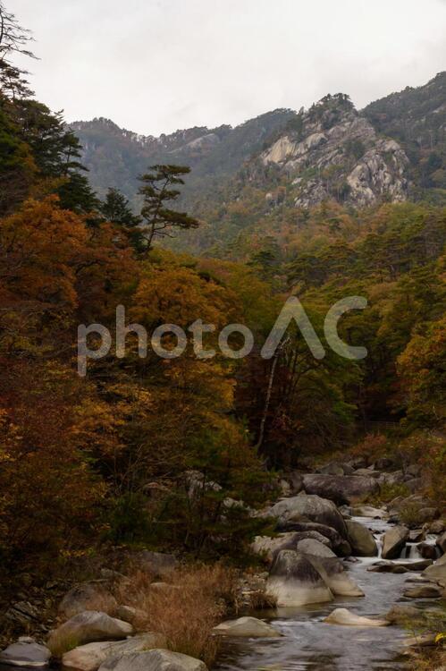 山梨県甲府市　昇仙峡の紅葉 昇仙峡,山梨,紅葉の写真素材