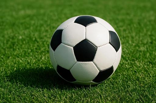 芝生に置かれたサッカーボールの写真