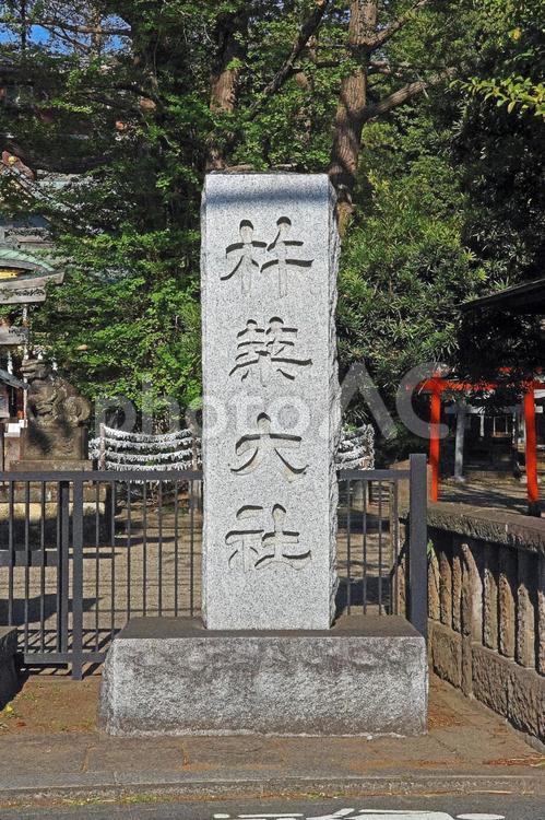 杵築大社（武蔵野） 杵築大社,大国主大神,事代主大神の写真素材