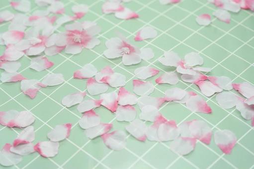 方眼紙上の花びら 方眼紙上の花びらの写真