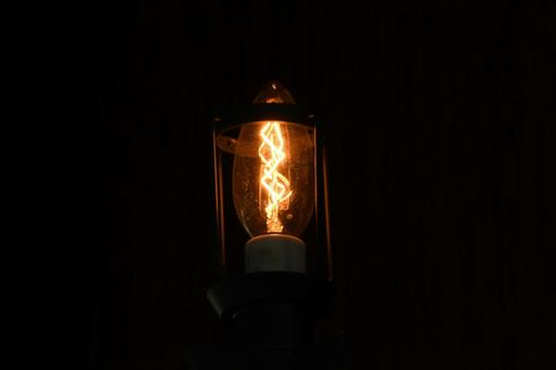 電球 電球の写真